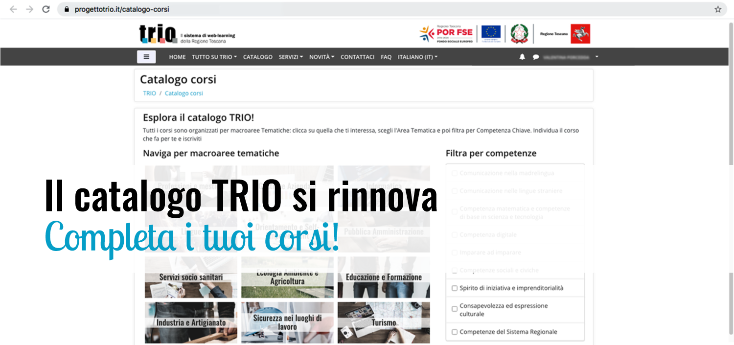 CatTRIO_1500px.png